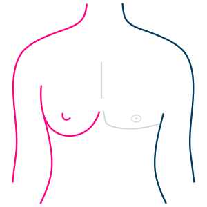 Male and Female Breast-01
